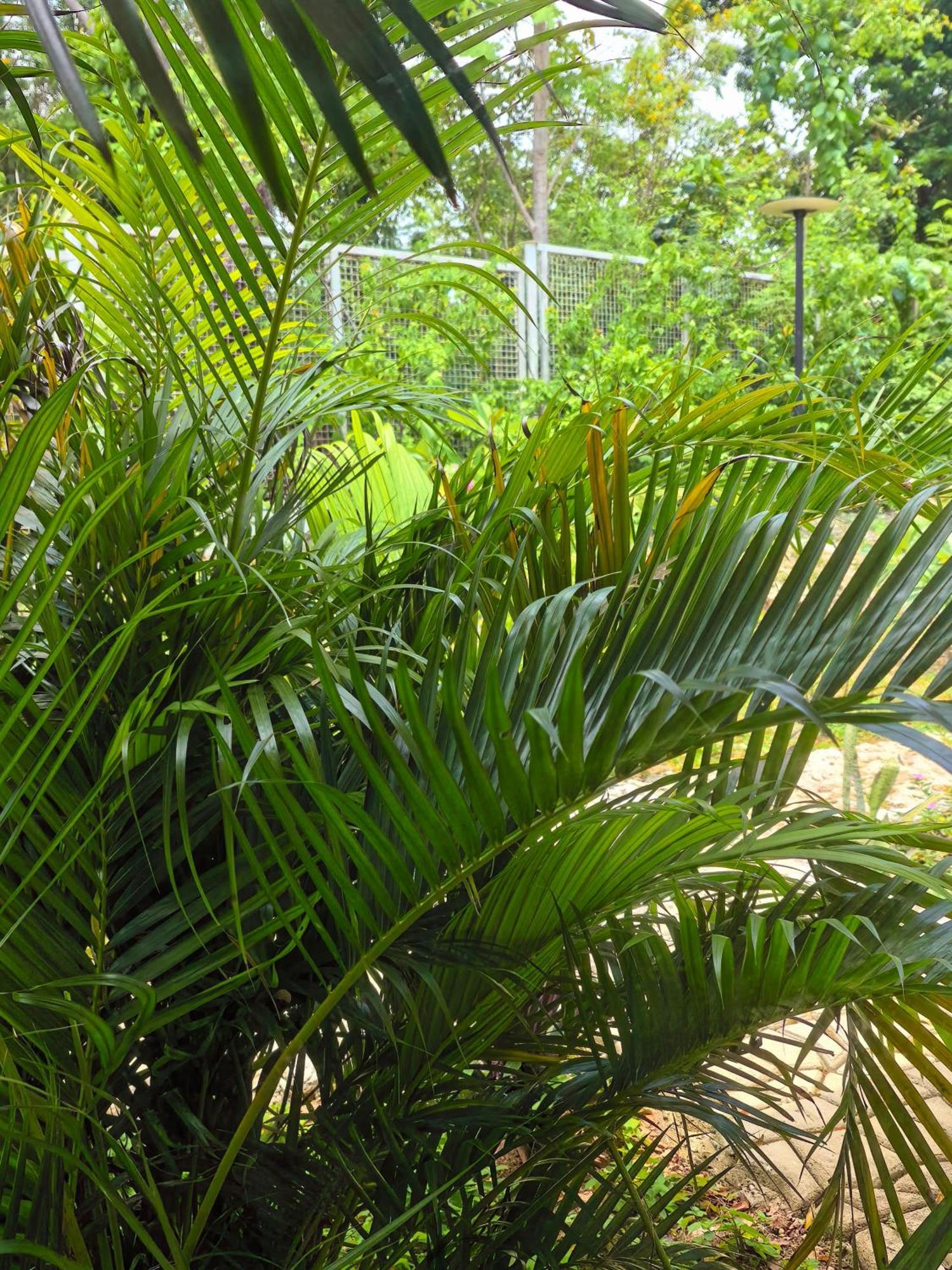 Hotel Blue Joys Msr Siquijor Esterno foto