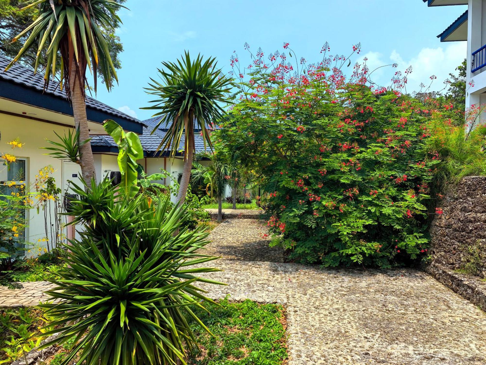 Hotel Blue Joys Msr Siquijor Esterno foto